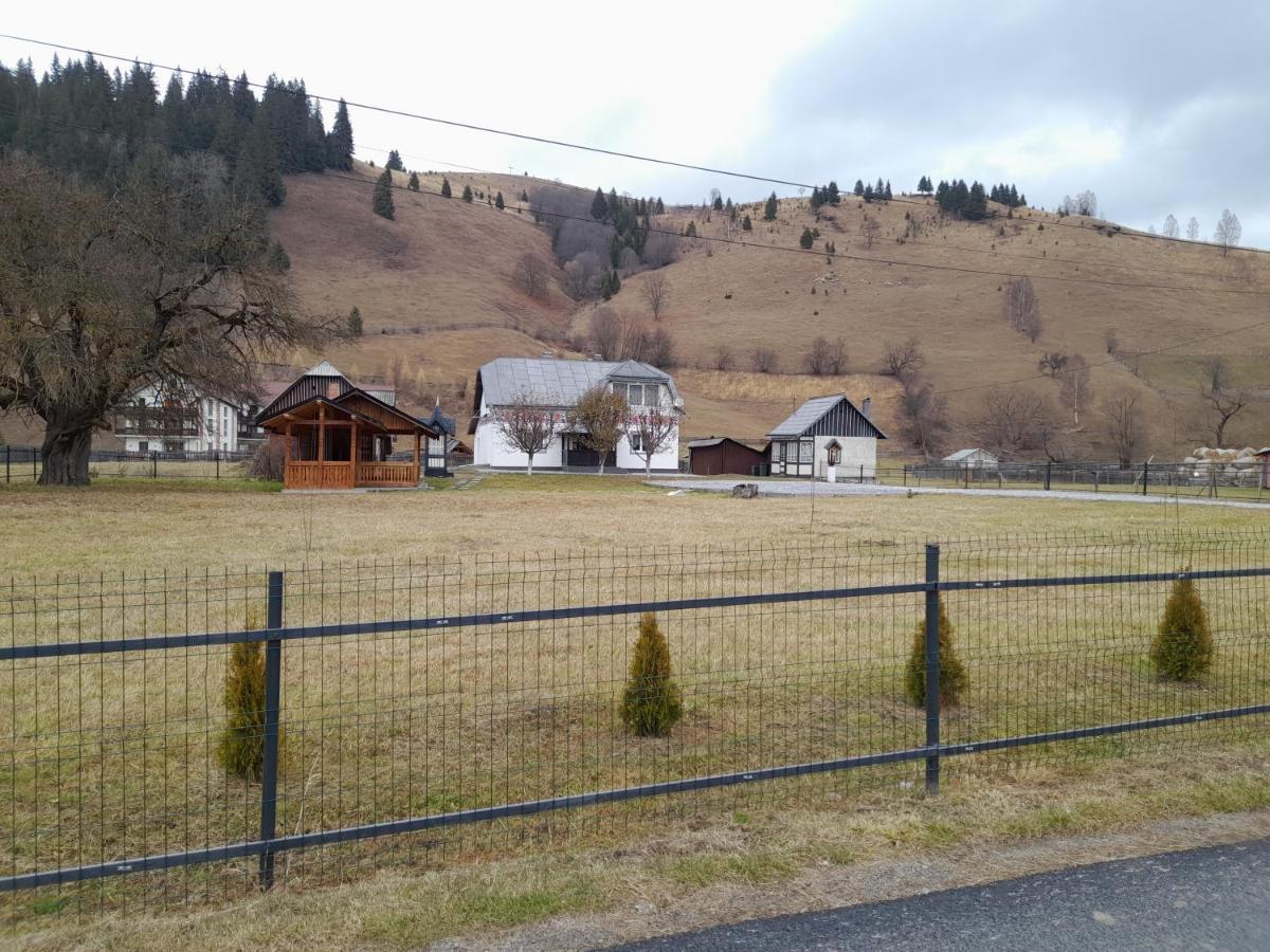 Casa Dumitru Si Elena Ciocanesti Bucovina Exterior photo