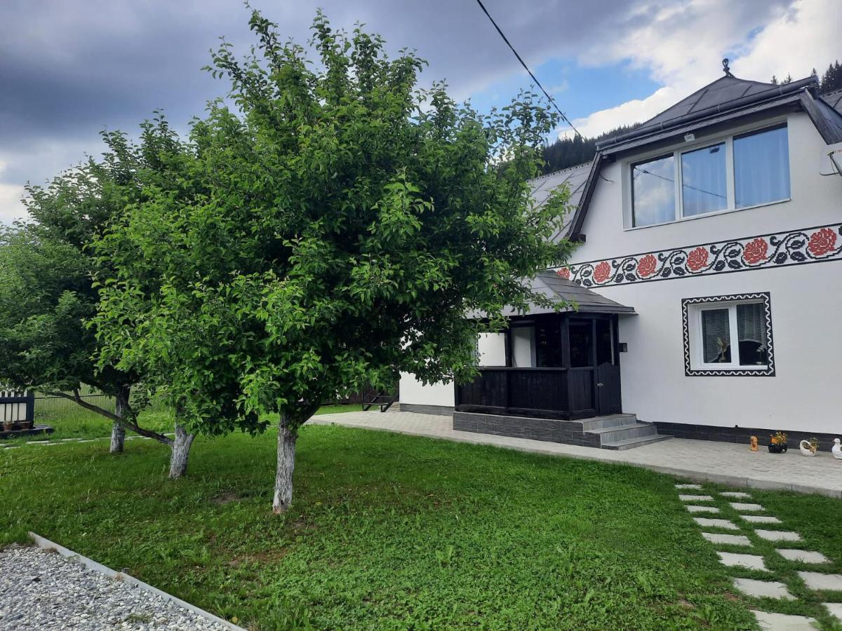 Casa Dumitru Si Elena Ciocanesti Bucovina Exterior photo