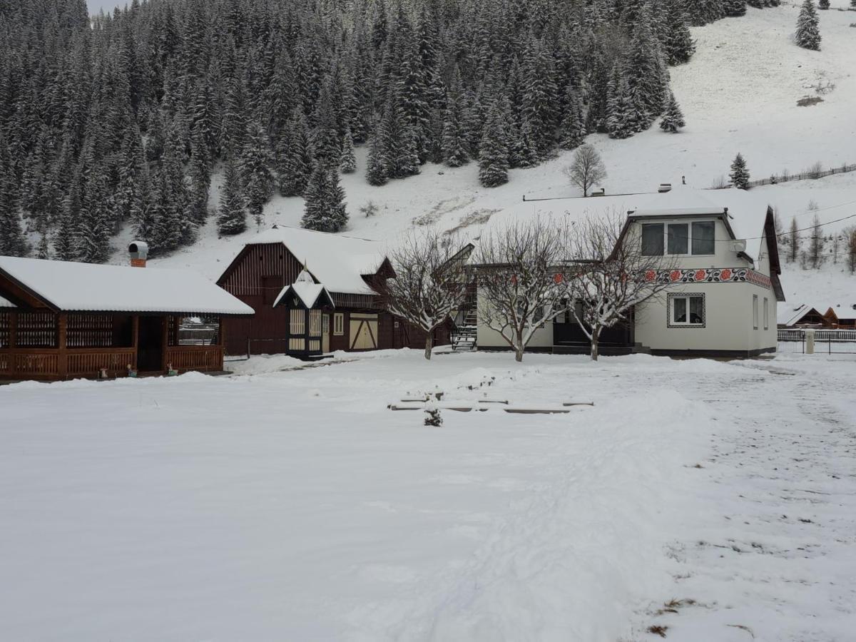 Casa Dumitru Si Elena Ciocanesti Bucovina Exterior photo